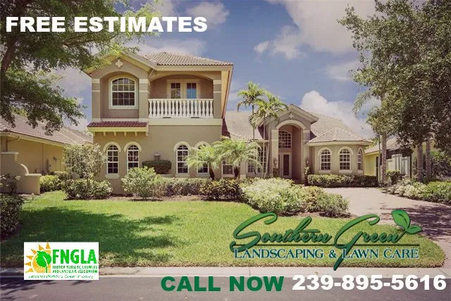 Reliable yard cleanup service in Estero, FL - Southern Green Landscaping & Lawn Care