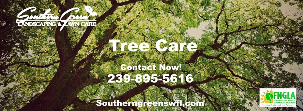Professional lawn care service in Estero, FL - Southern Green Landscaping & Lawn Care