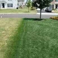 Professional landscape design for year-round maintenance across Birmingham, AL - Southern Green Lawn & Shrub Care