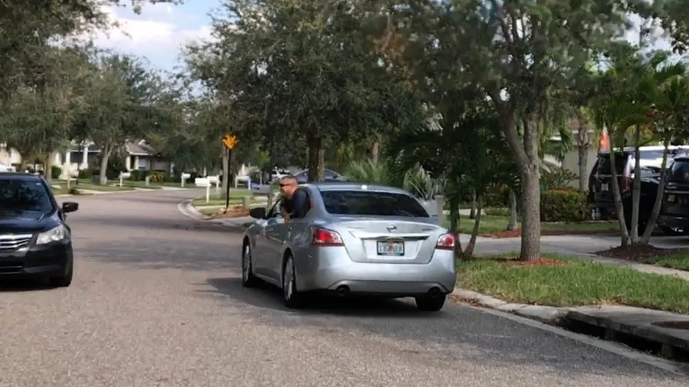 Expert lawn care service experts serving Tampa, FL - Southern Green