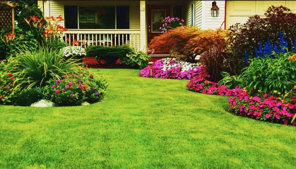 Professional landscaping services in Summerville, SC - Southern Green Turf Care and Mosquito Control