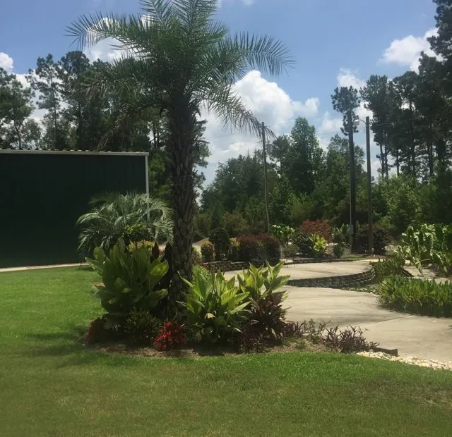 Trusted yard maintenance experts serving Summerville, SC - Southern Green Turf Care and Mosquito Control