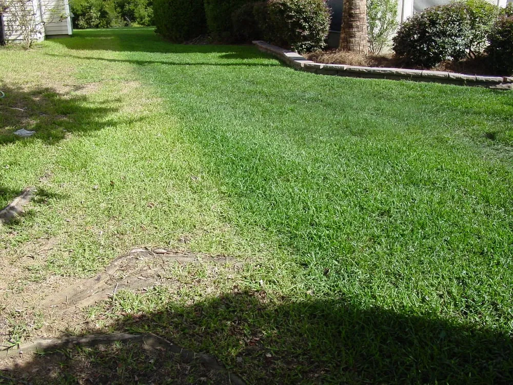 Professional residential landscaping in Summerville, SC - Southern Green Turf Care and Mosquito Control