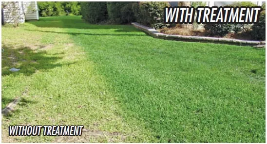 Local residential landscaping in Summerville, SC - Southern Green Turf Care and Mosquito Control