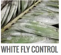 Top-rated landscaping services for residential properties in Bradenton, FL by Southern Greens Pest Control