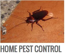 Expert lawn mowing service for residential properties in Bradenton, FL by Southern Greens Pest Control