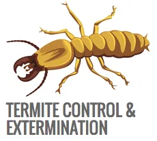 Trusted yard cleanup service in Bradenton, FL - Southern Greens Pest Control