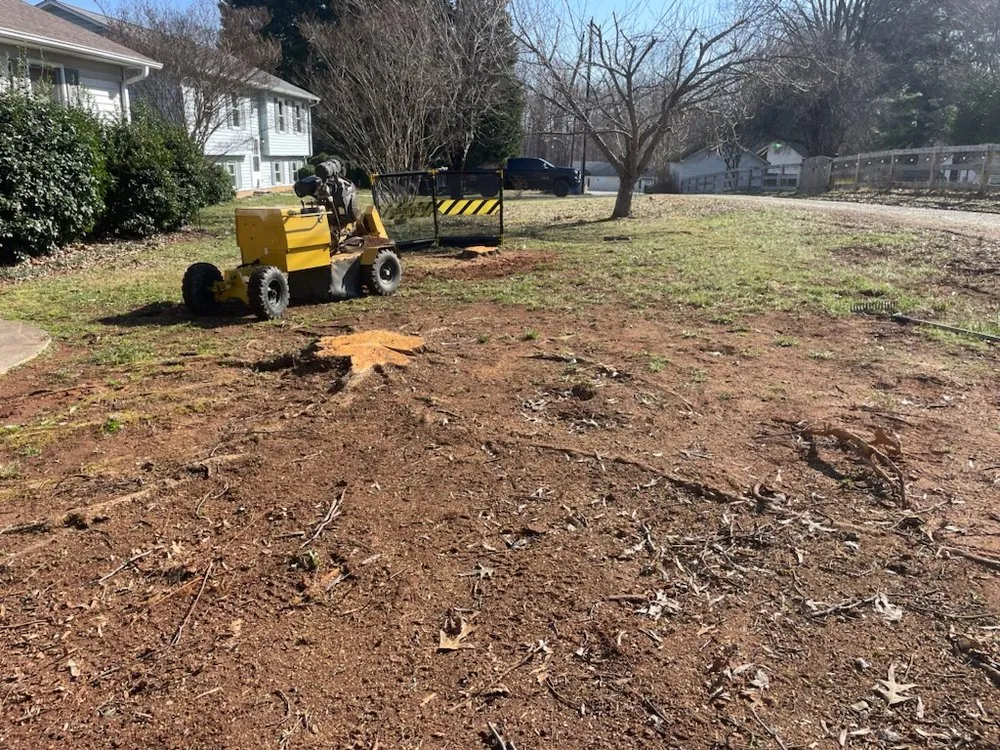 Custom landscape design for year-round maintenance in Clemmons, NC by Southern Ground