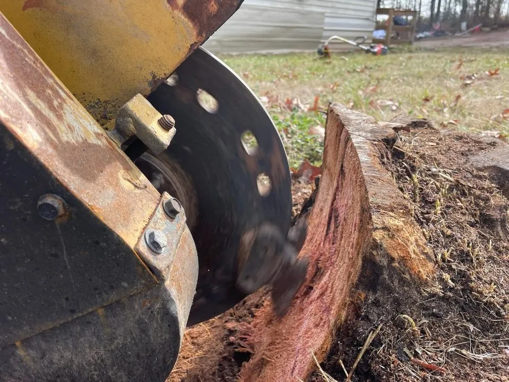 Custom landscape installation in Clemmons, NC by Southern Ground