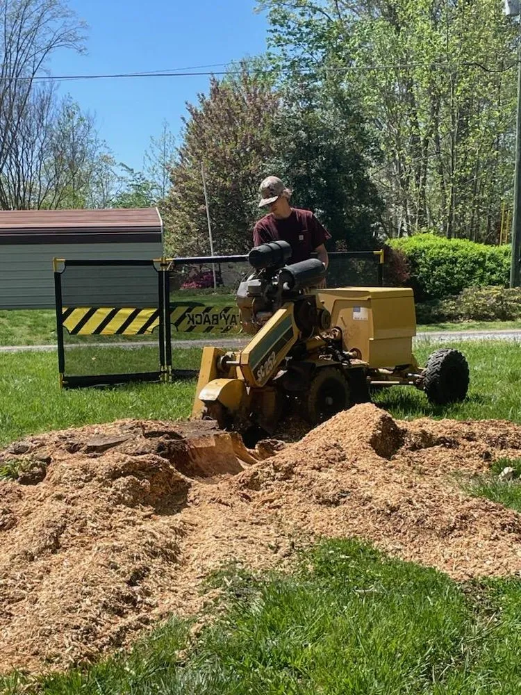 Trusted lawn care service for beautiful yards across Clemmons, NC - Southern Ground