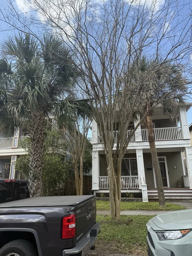 Custom yard maintenance in High springs, FL by Southern Grounds Development