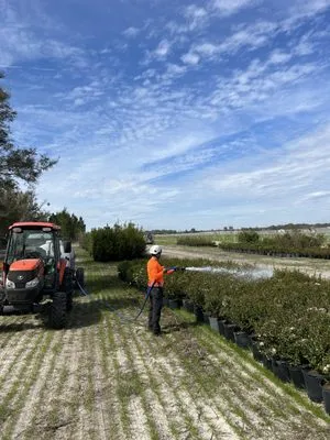 Southern Grounds Development