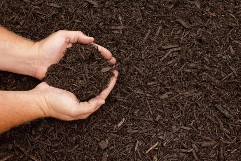 Reliable garden landscaping experts serving Clinton, SC - Southern Grove Landscaping And Irrigation