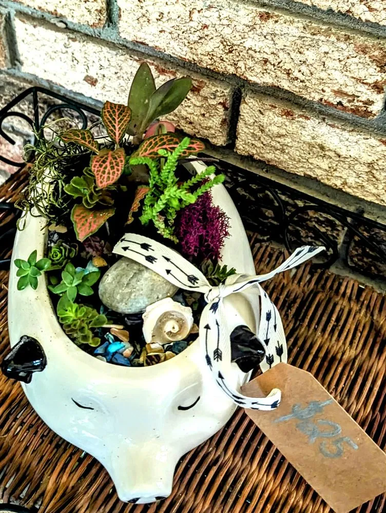 Affordable yard maintenance for residential properties in Bay St. Louis, MS by Southern Growth Lawn Care