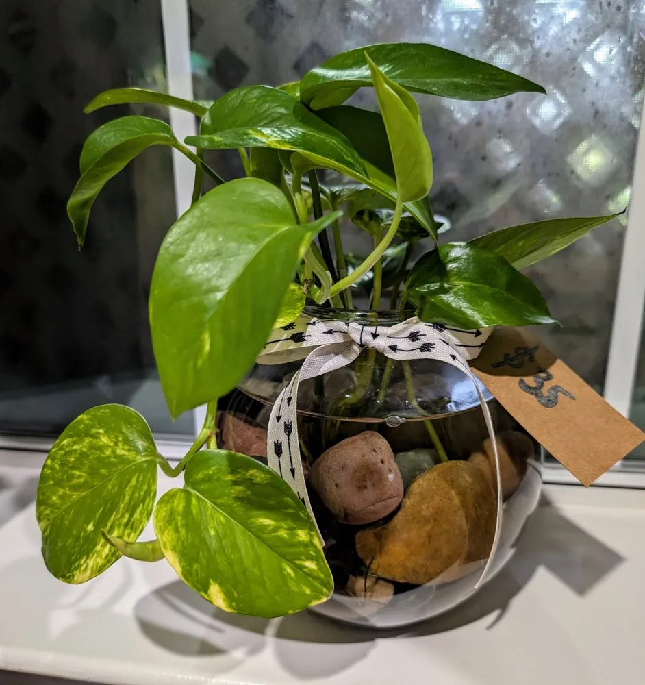 Custom landscaping services in Bay St. Louis, MS - Southern Growth Lawn Care