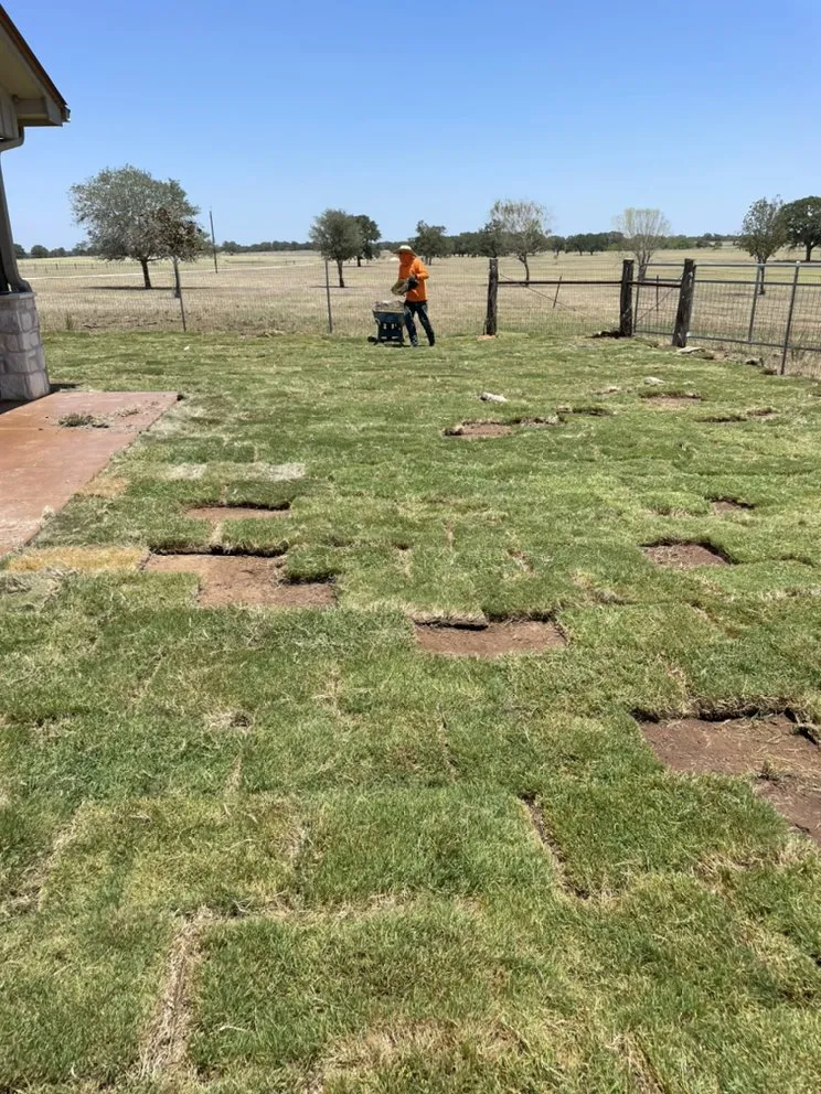 Affordable landscape design for year-round maintenance in Cedar Creek, TX by Southern Guys