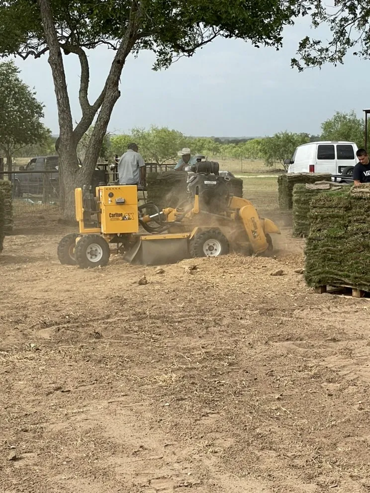 Affordable yard cleanup service in Cedar Creek, TX by Southern Guys