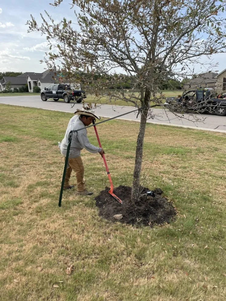 Affordable residential landscaping for year-round maintenance across Cedar Creek, TX - Southern Guys