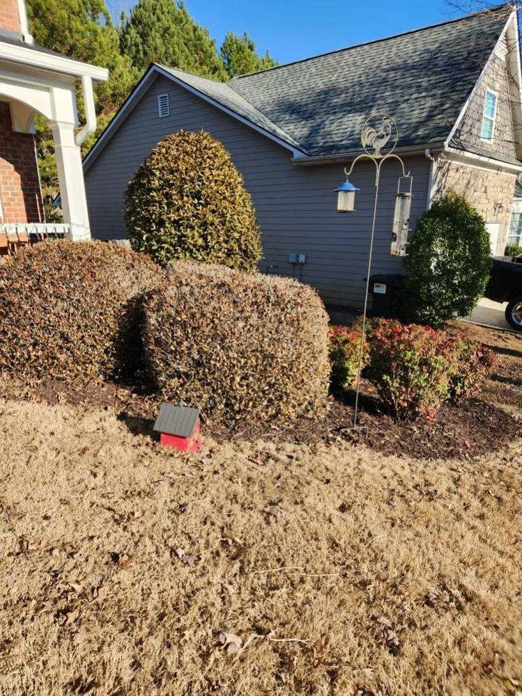 Local yard maintenance for year-round maintenance across Jasper, GA - Southern Hand Landscaping