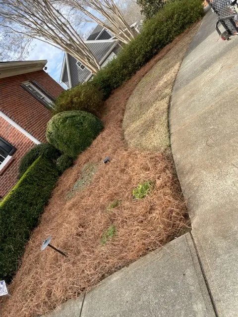 Local yard maintenance in Jasper, GA by Southern Hand Landscaping