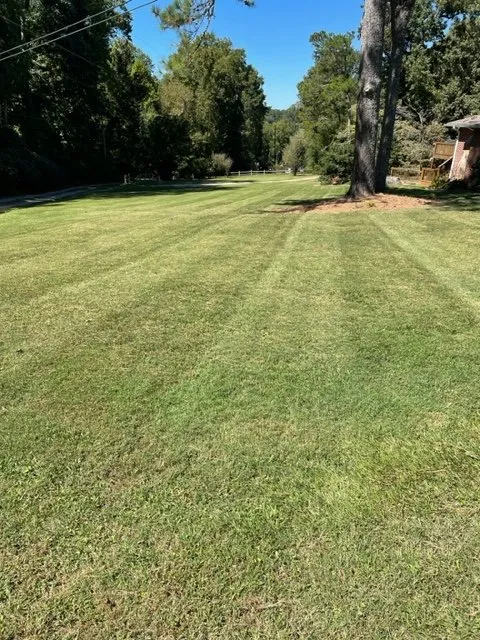 Reliable outdoor landscaping experts serving Jasper, GA - Southern Hand Landscaping