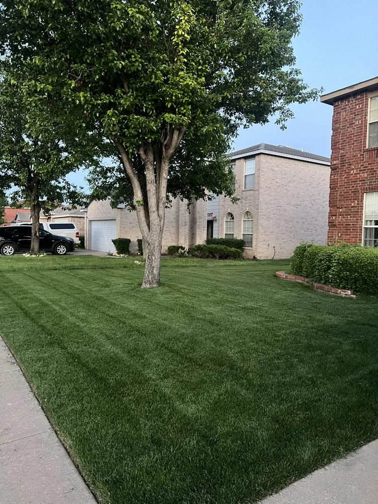 Professional landscaping services experts serving Blue Mound, TX - Southern Hemlock