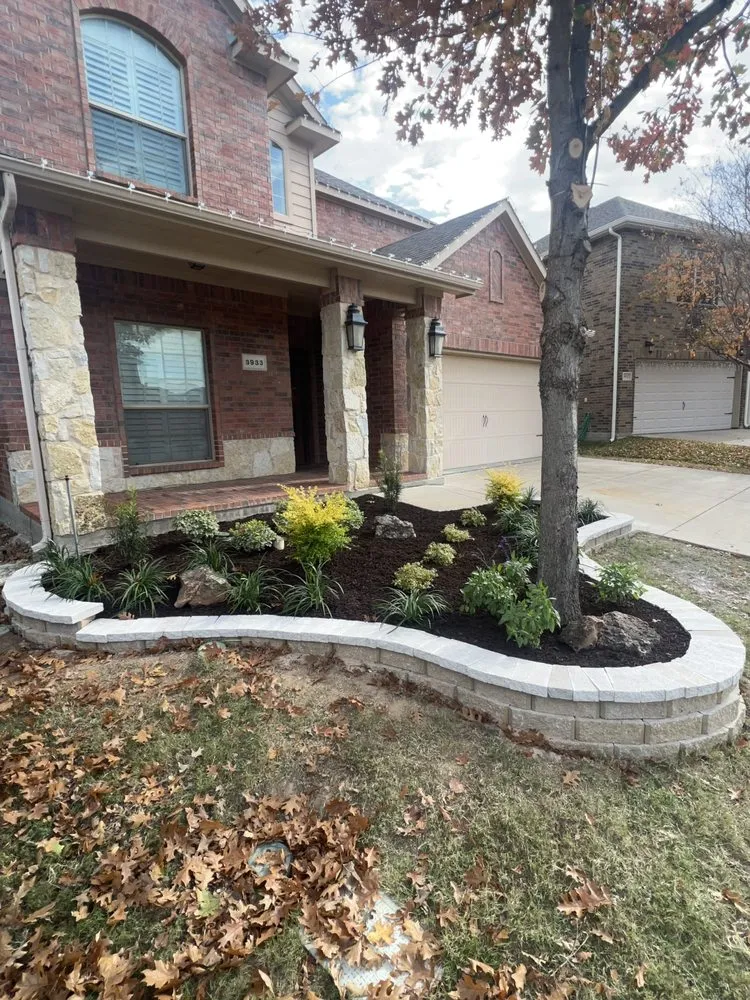 Professional outdoor landscaping in Blue Mound, TX - Southern Hemlock