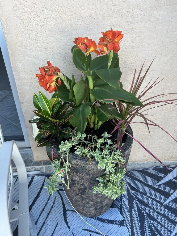 Expert landscape installation for beautiful yards across Merritt Island, FL - Southern Home & Outdoor Services