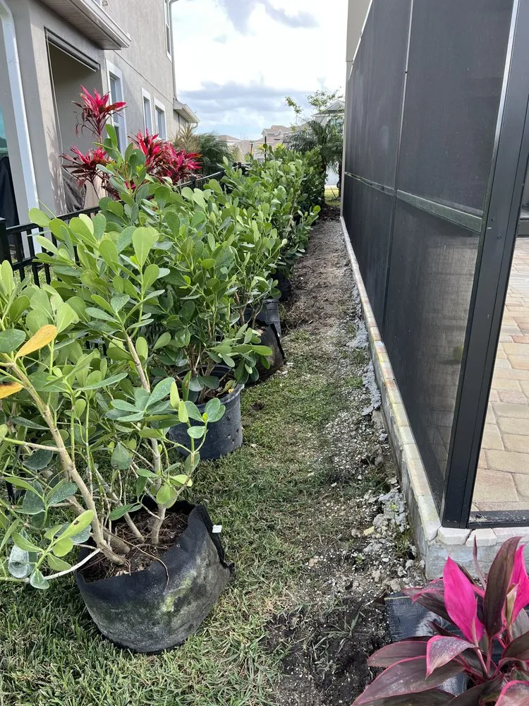 Professional residential landscaping with custom design in Merritt Island, FL by Southern Home & Outdoor Services