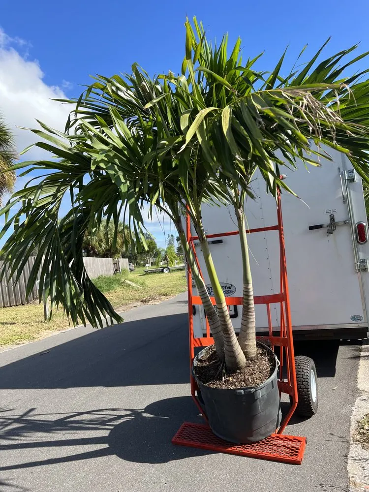 Top-rated outdoor landscaping with custom design in Merritt Island, FL by Southern Home & Outdoor Services