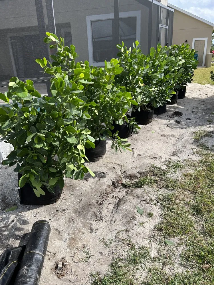 Top-rated garden landscaping near you across Merritt Island, FL - Southern Home & Outdoor Services