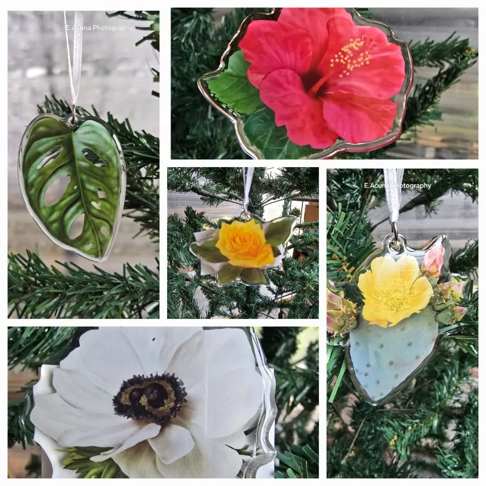 Reliable yard maintenance in Bishop, TX by Southern Horizon Nursery