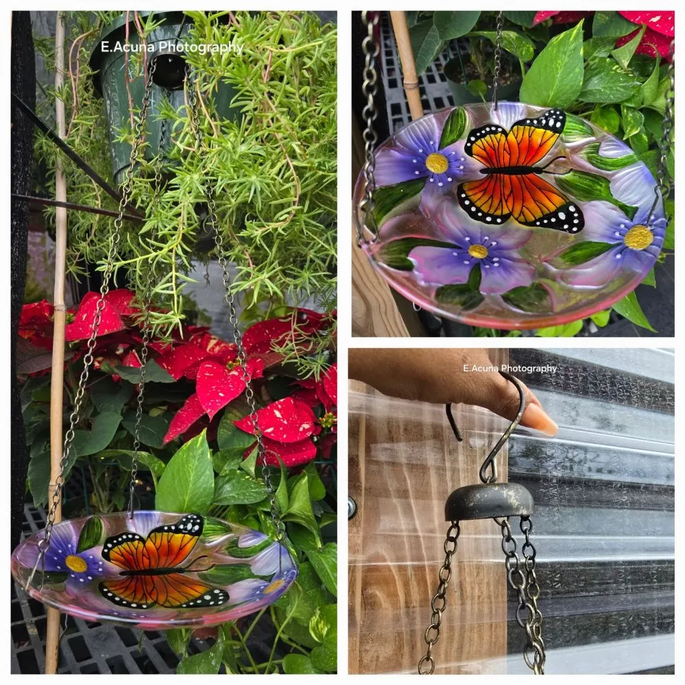 Affordable residential landscaping in Bishop, TX by Southern Horizon Nursery