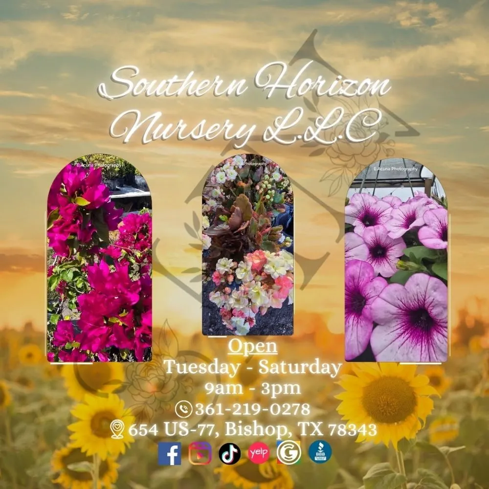 Professional residential landscaping experts serving Bishop, TX - Southern Horizon Nursery