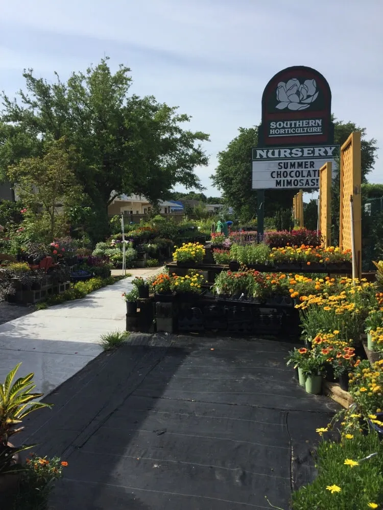 Reliable lawn care service experts serving Saint Augustine, FL - Southern Horticulture