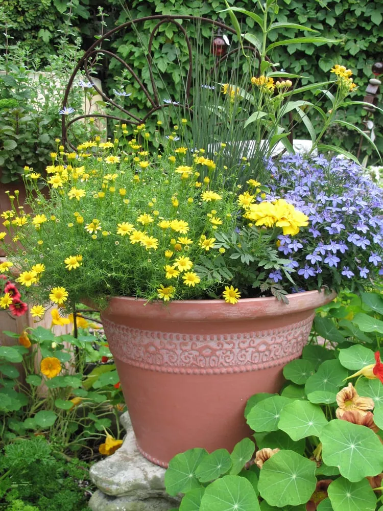 Expert landscape design experts serving Saint Augustine, FL - Southern Horticulture