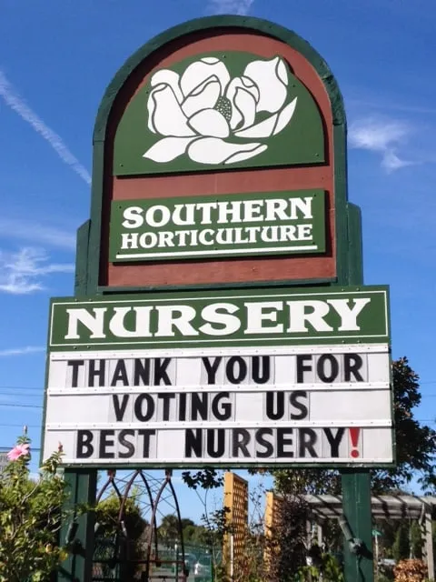 Reliable lawn care service experts serving Saint Augustine, FL - Southern Horticulture