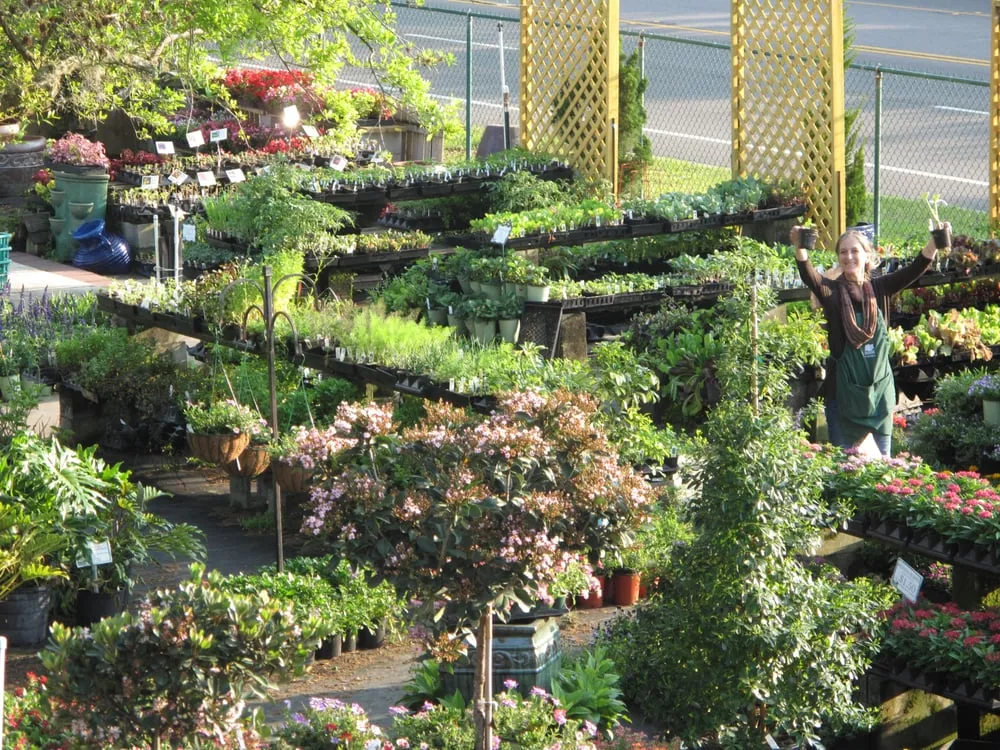 Professional lawn care service in Saint Augustine, FL - Southern Horticulture