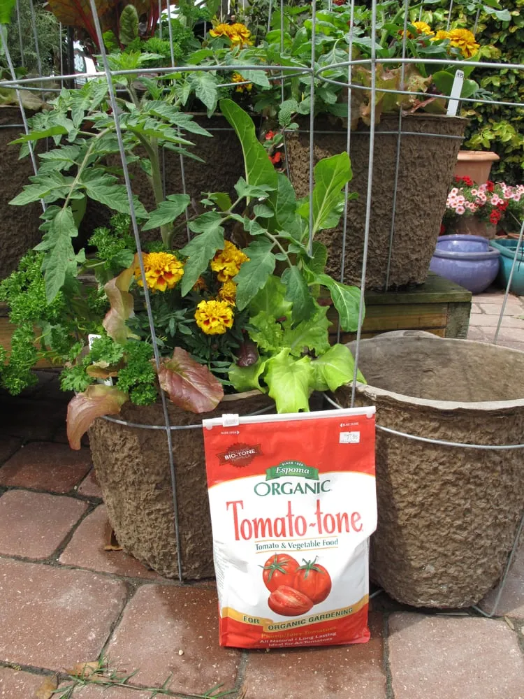 Expert landscaping services experts serving Saint Augustine, FL - Southern Horticulture