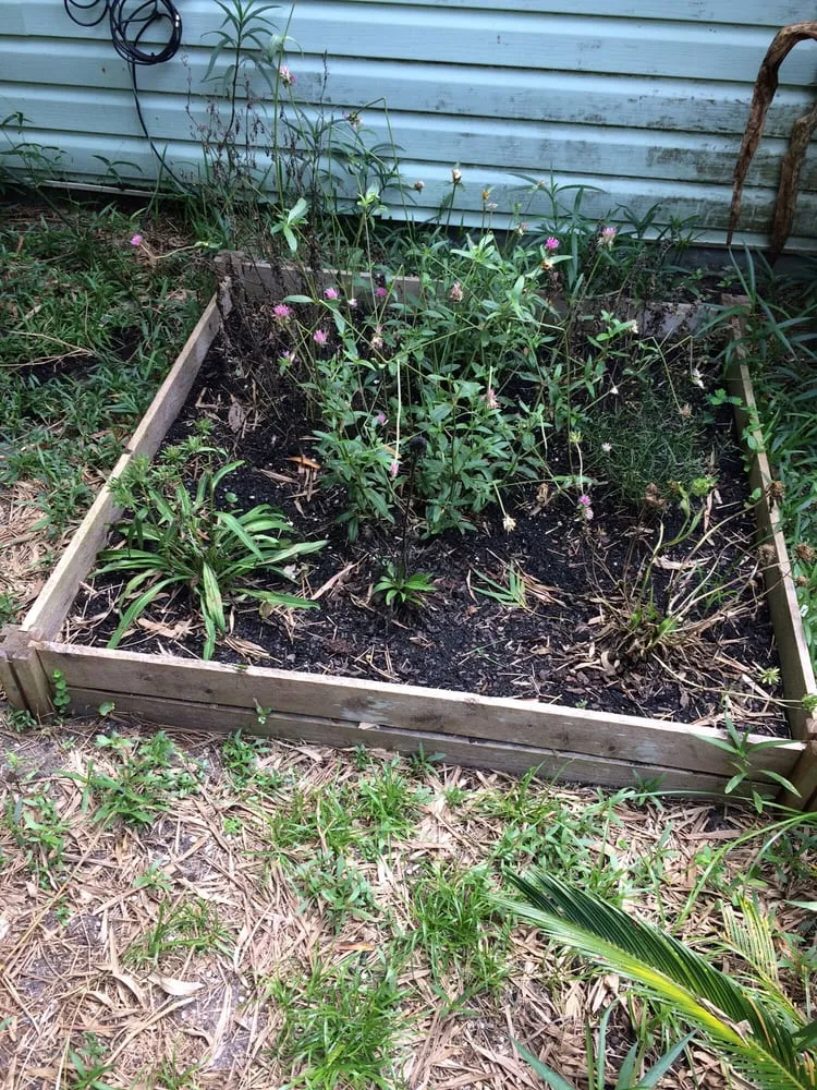 Professional residential landscaping near you across Saint Augustine, FL - Southern Horticulture