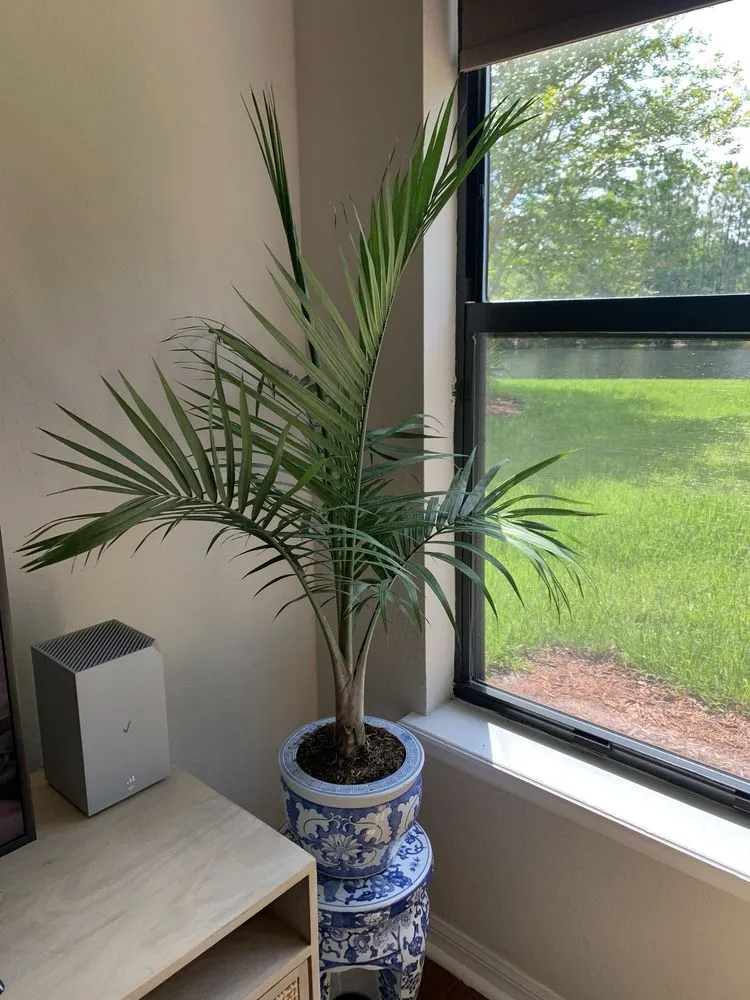 Custom lawn care service experts serving Saint Augustine, FL - Southern Horticulture