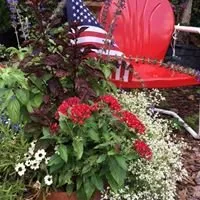 Trusted lawn care service in Saint Augustine, FL - Southern Horticulture