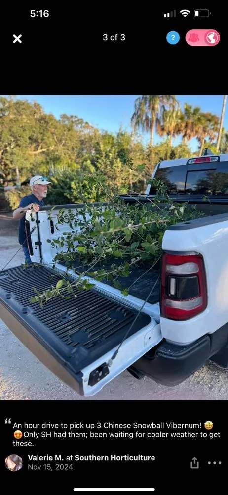 Professional outdoor landscaping in Saint Augustine, FL - Southern Horticulture