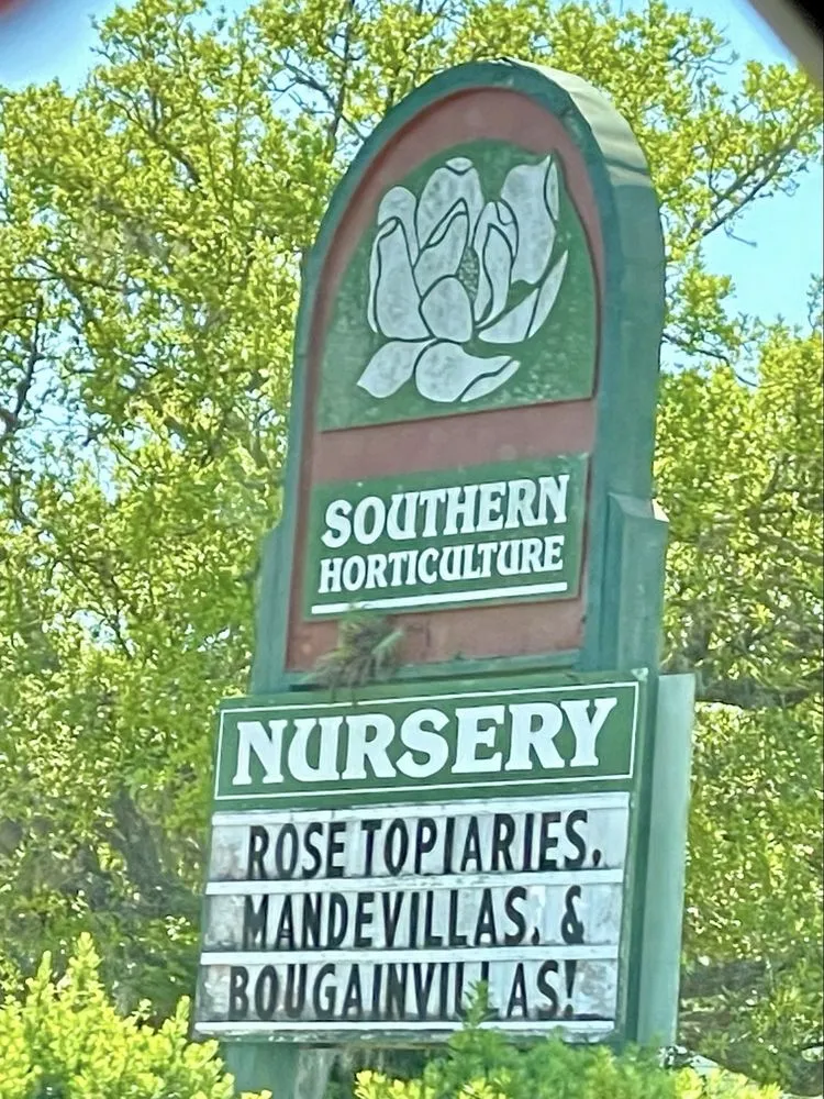 Custom landscaping services in Saint Augustine, FL by Southern Horticulture