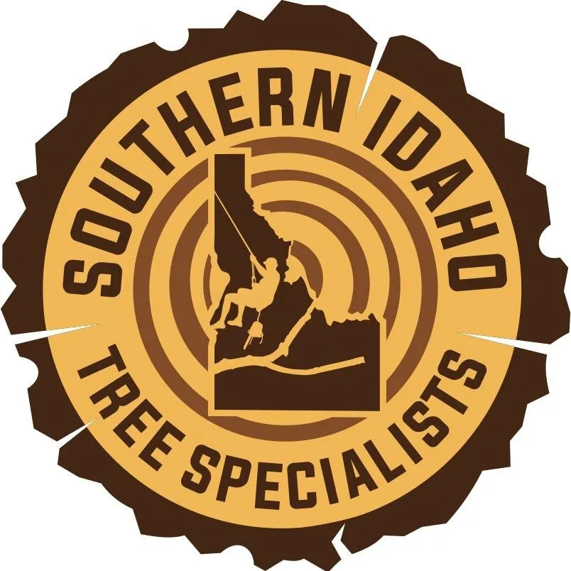 Reliable landscape installation for outdoor upgrades in Buhl, ID by Southern Idaho Tree Specialists