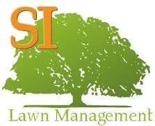 Custom yard cleanup service for residential properties across Salem, IL - Southern Illinois Lawn Care Management