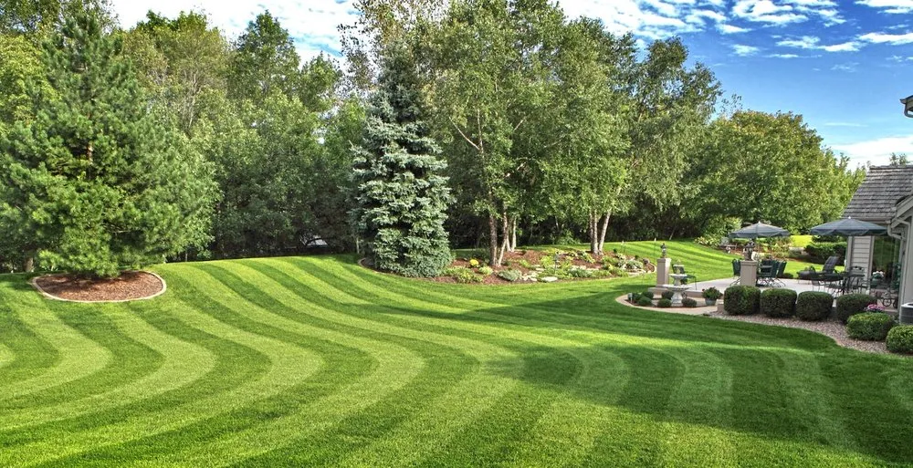 Professional yard cleanup service in Nashville, TN by Southern Image Pros