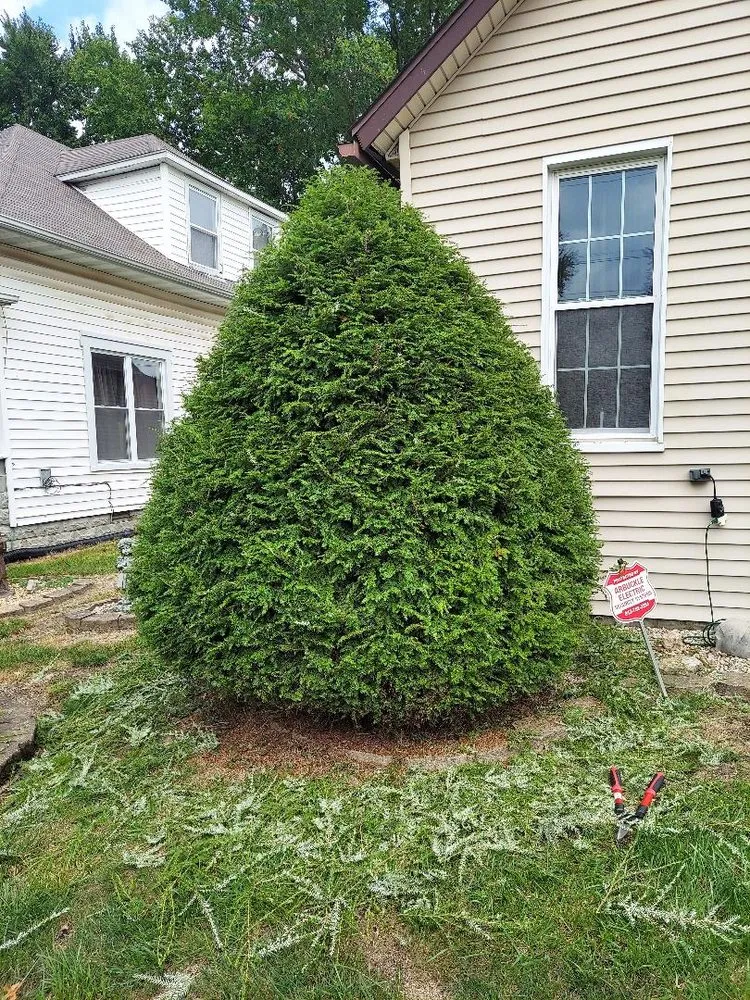 Expert lawn mowing service for year-round maintenance in Scottsburg, IN by Southern Indiana Lawn Creation