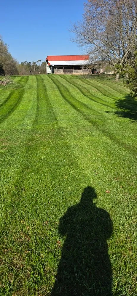 Professional yard cleanup service in Palmyra, IN - Southern Indiana Renew Crew