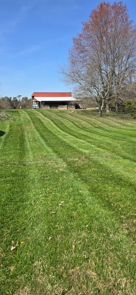 Trusted yard cleanup service in Palmyra, IN by Southern Indiana Renew Crew